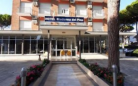 Hotel Madonna Del Pino Cervia